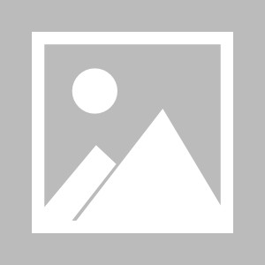 乐鱼在线（中国）-【老梁说球】卫冕冠军淘汰的遗憾，丹麦的美丽足球